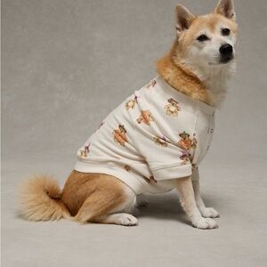 Ae lush plush Halloween Cozy Dog Sweater pumpkin Bear Print